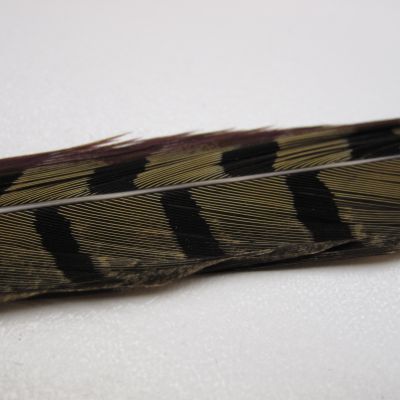 Fazant staartpen p. zakje van 4 st