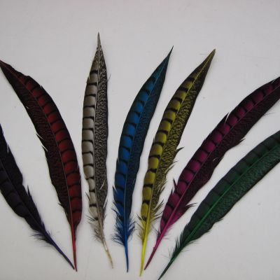 Fazant veren(zakje 4st)