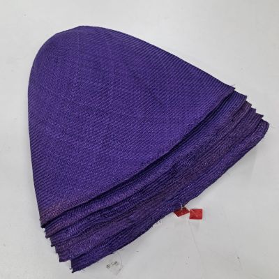 Parasisal cone