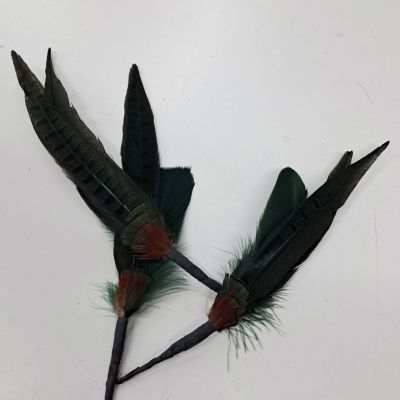 Fazantveren toef met hanenveer