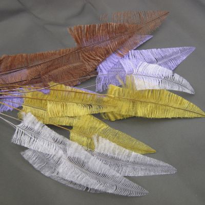 pijlpunt veer struisvogel 70008